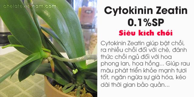 Cytokinin Zeatin 0.1%SP (Siêu kích chồi)